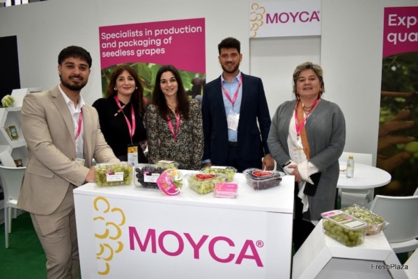 Moyca uva de mesa