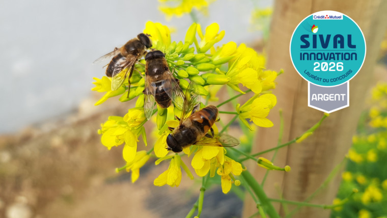 Polyfly-Sival-Innovation-2026