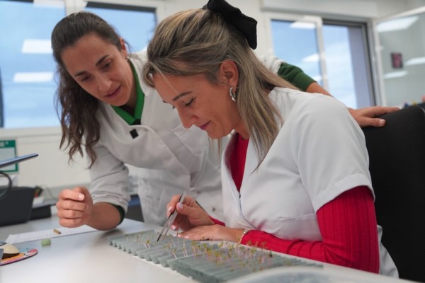 Ramiro Arnedo laboratorio