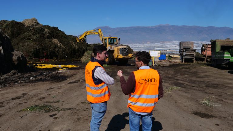 El Ejido, Hortyfruta y plantas de tratamiento se coordinan para frenar al Thrips Parvispinus