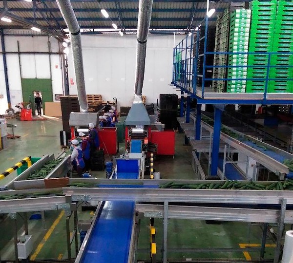 Los fondos multiplican su inversión en el campo