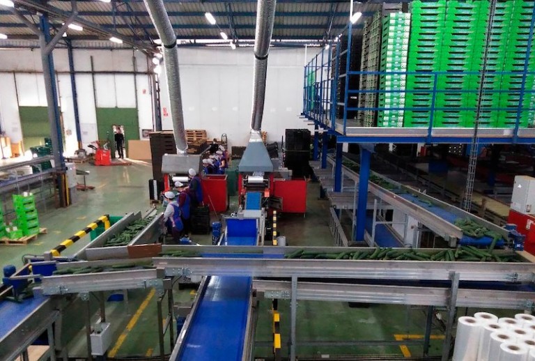 Los fondos multiplican su inversión en el campo