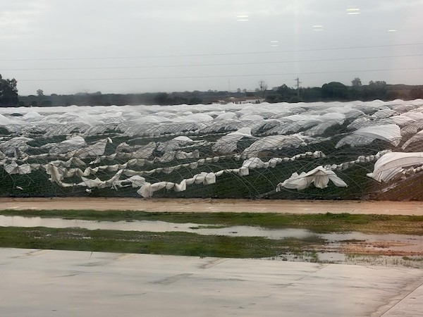 El tren de borrascas deja una alta superficie agrícola siniestrada.
