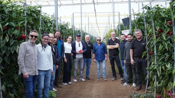 Jornada de pimiento de Ramiro Arnedo.