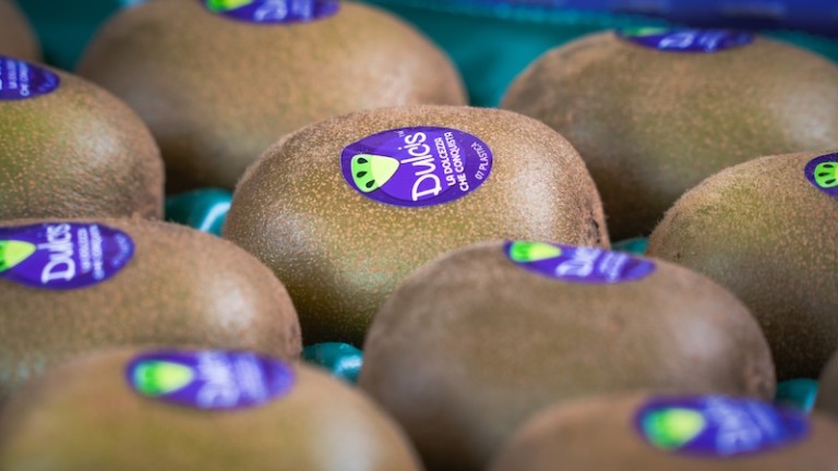Dulcis kiwi
