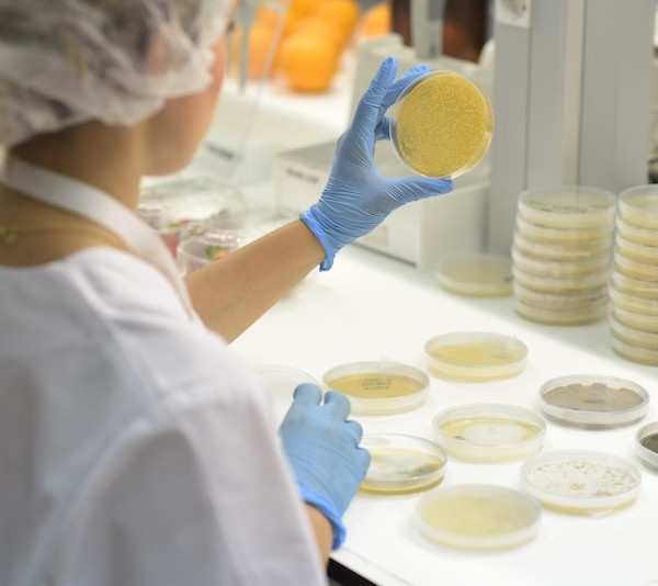 Bioestimulantes de Trichodex y su efecto sobre la sequía.