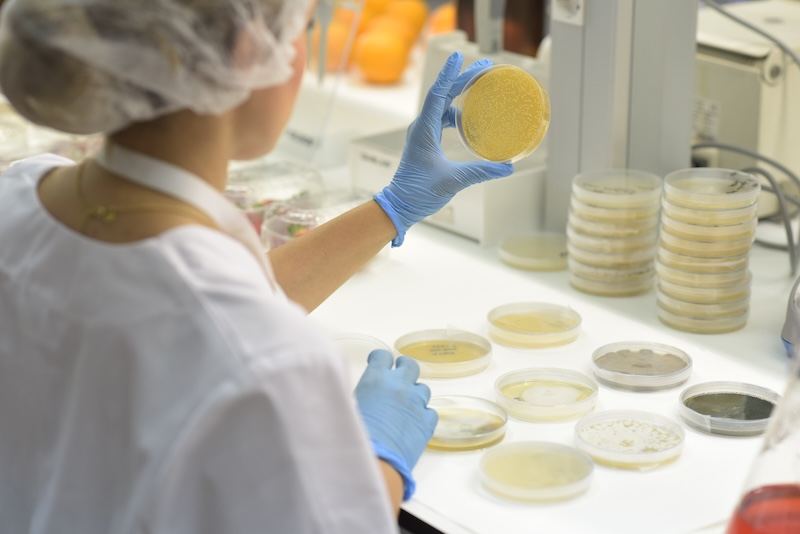 Bioestimulantes de Trichodex y su efecto sobre la sequía.