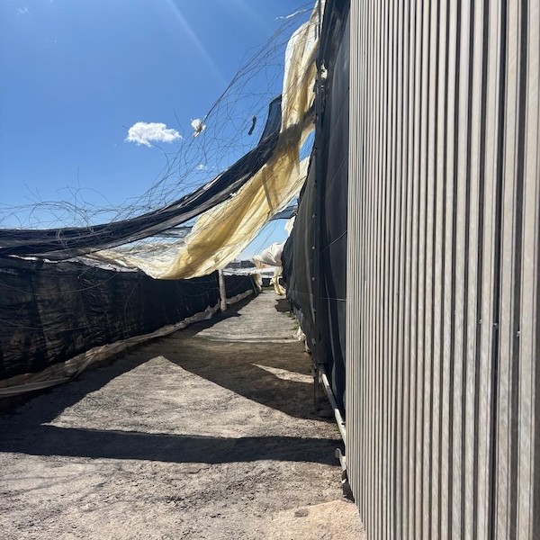 Las indemnizaciones por el seguro agrario suben un 63 % hasta marzo