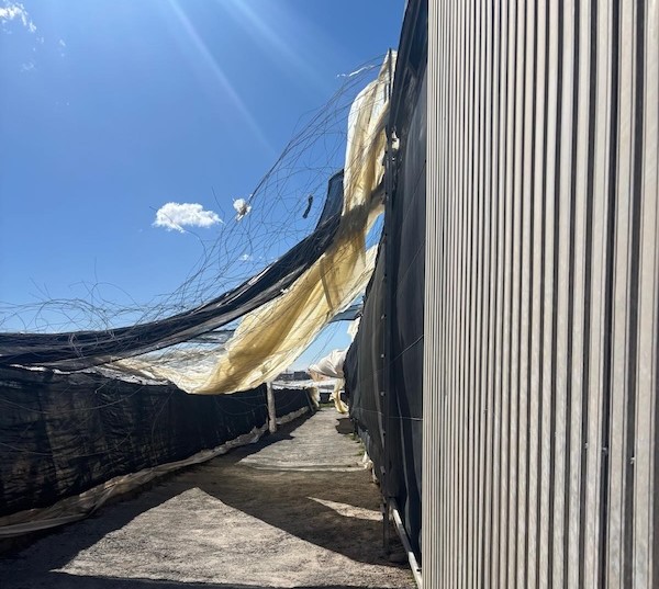 Las indemnizaciones por el seguro agrario suben un 63 % hasta marzo