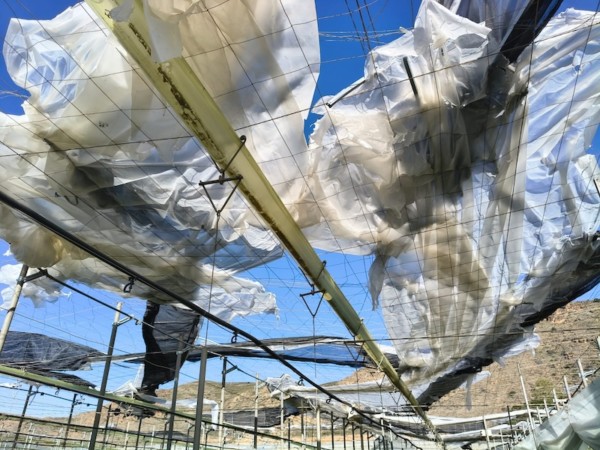 Daños de Oriana en El Ejido