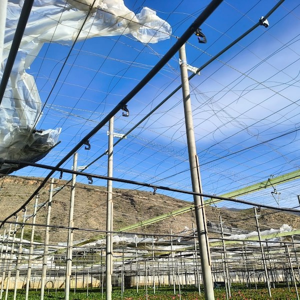 El tren de borrascas dispara los daños en el campo