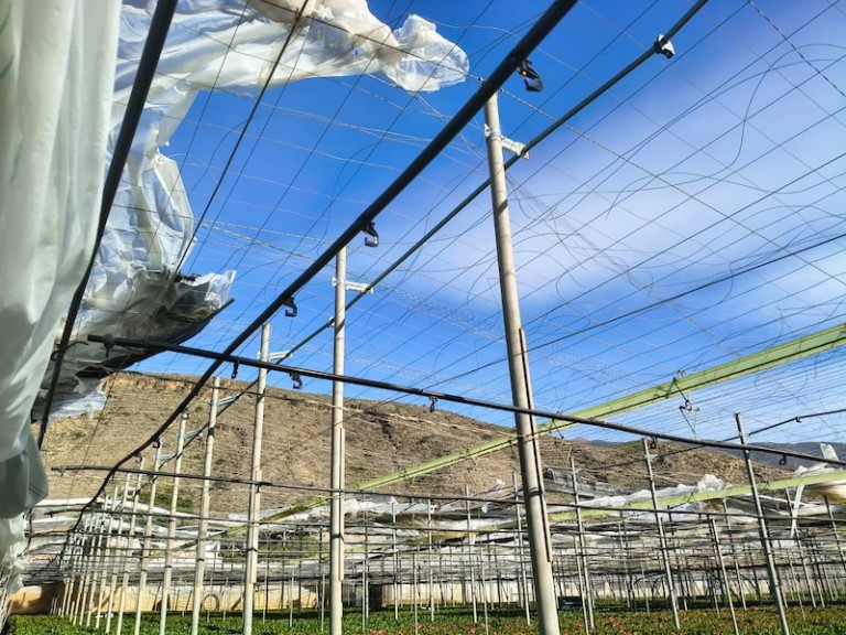 El tren de borrascas dispara los daños en el campo
