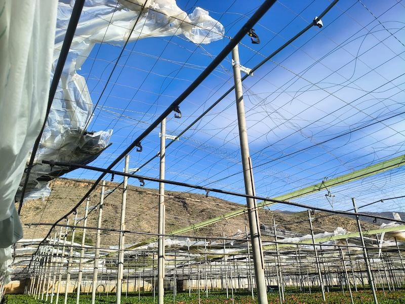 El tren de borrascas dispara los daños en el campo