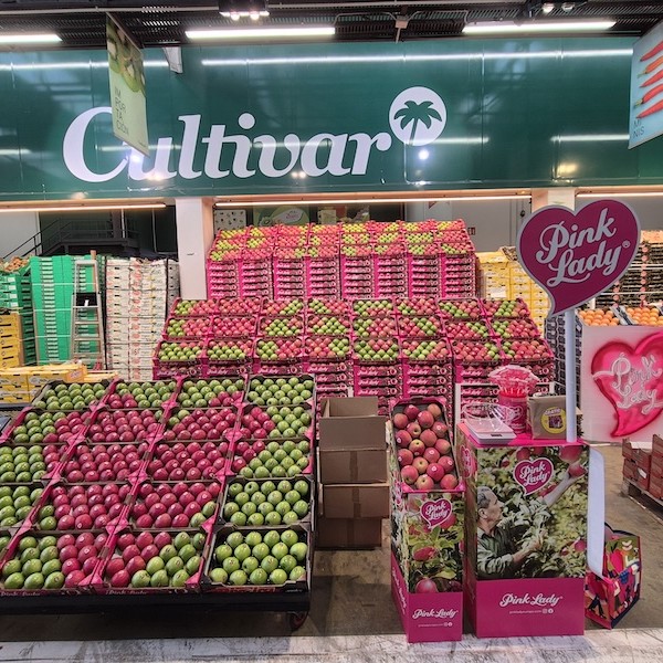 Pink Lady mayoristas