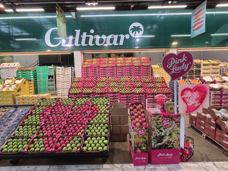 Pink Lady mayoristas