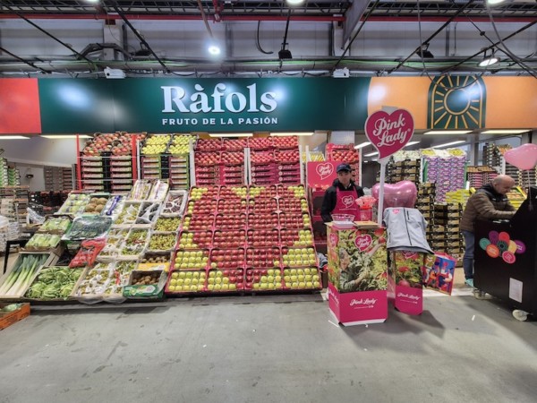 Pink Lady mayoristas