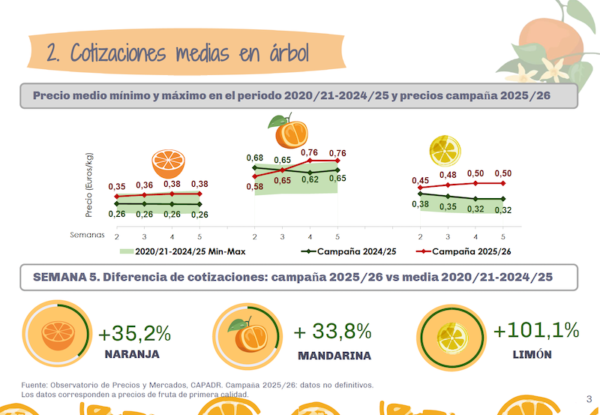 cítricos Andalucía