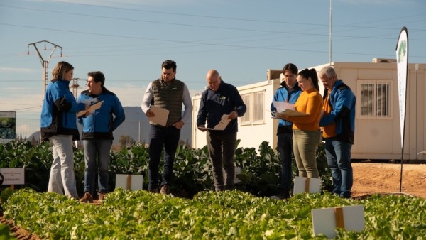 Lettuce Week Ramiro Arnedo