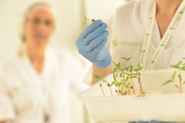 Trichodex participa en el 18º Symposium de Sanidad Vegetal