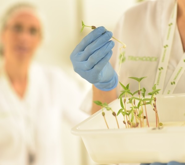 Trichodex participa en el 18º Symposium de Sanidad Vegetal