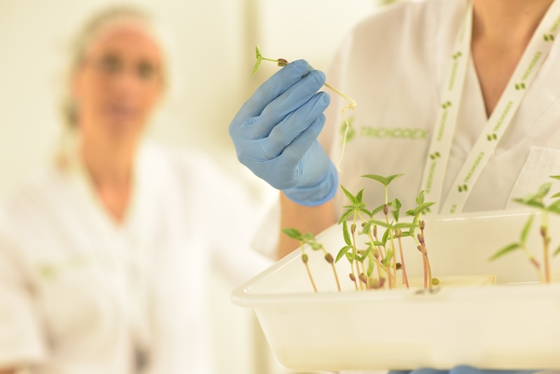 Trichodex participa en el 18º Symposium de Sanidad Vegetal