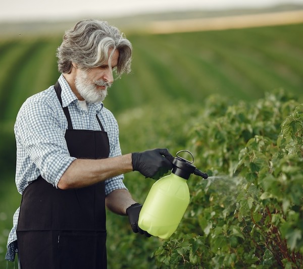 Agricultor aplicando una solución a su cultivo.