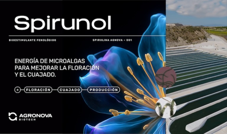 Spirunol es un bioestimulante autorizado para su uso en agricultura ecológica.