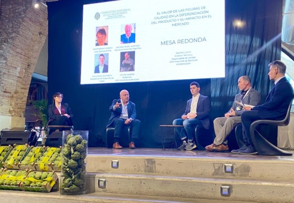 Alcachofa de la Vega Baja del Segura