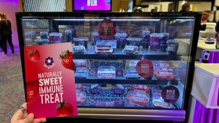 Tendencias en salud de 2026