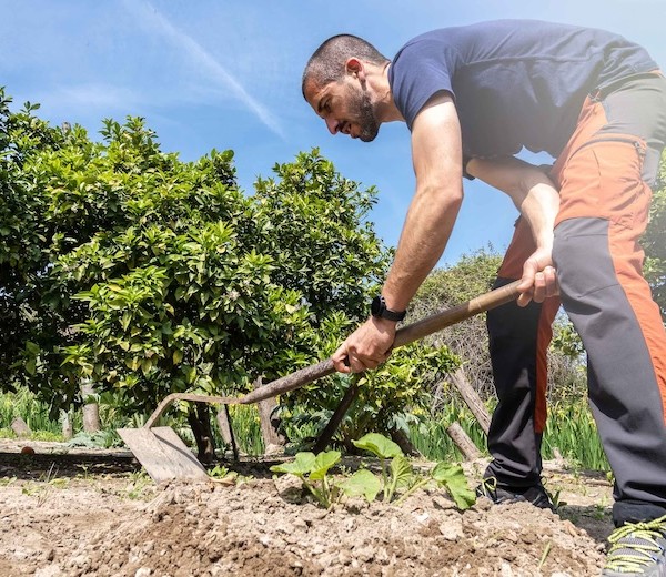 Cajamar adelanta las ayudas de la PAC