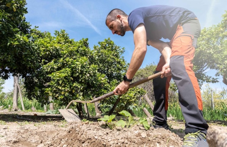 Cajamar adelanta las ayudas de la PAC
