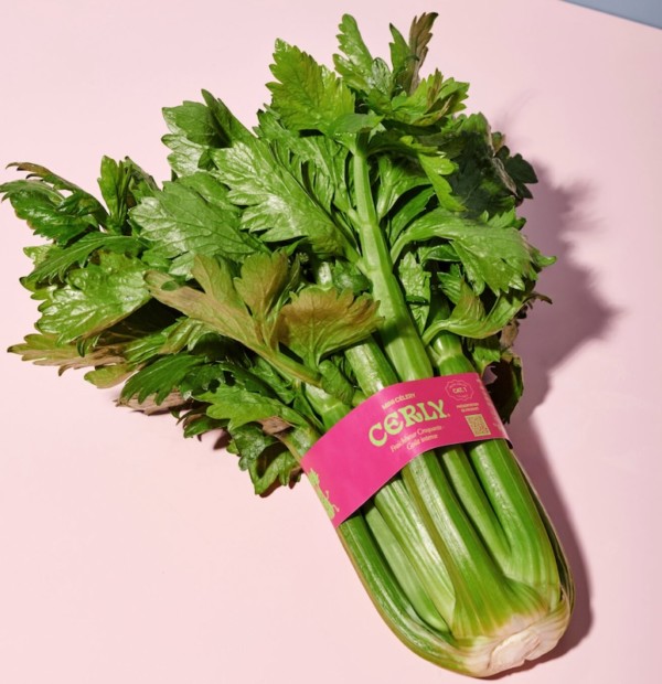 Hortofortini España y Fortini Ortofrutticoli producirán en exclusiva un apio mini de Rijk Zwaan