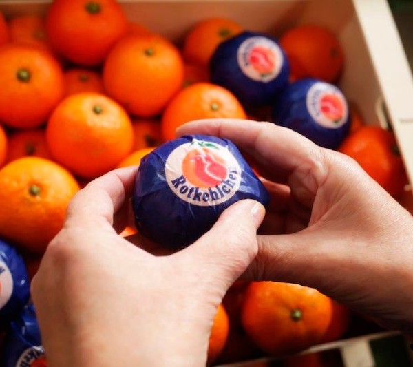 Grupo Clasol integra a Cofru