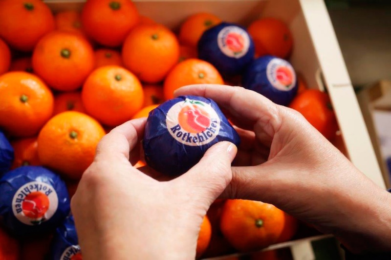 Grupo Clasol integra a Cofru