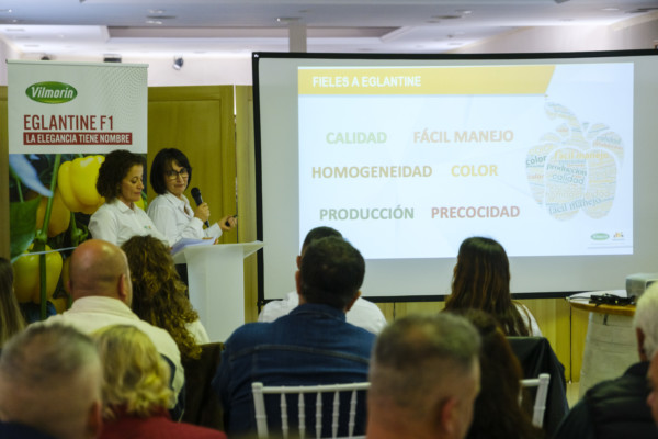 Vilmorin Mikado celebra los 10 años de Eglantine