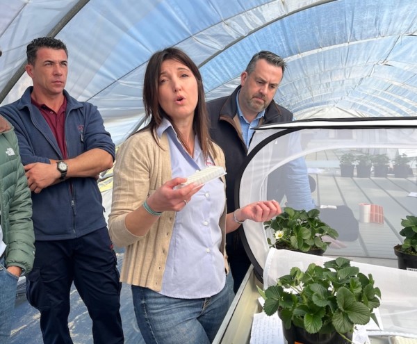 Fresh Forward abre las puertas de su centro de I+D en Huelva