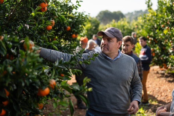 En marcha la campaña de licencias de Havva™ y Sigal™