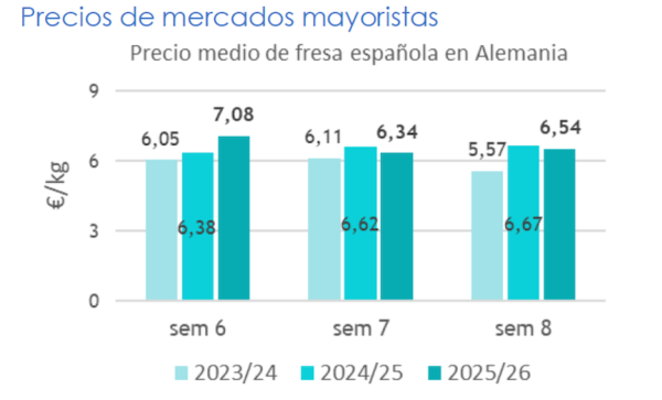 fresa española en Alemania