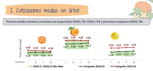 La campaña de cítricos avanza lentamente