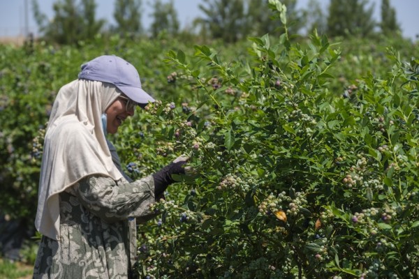 Fotografía: Francisco Bonilla.