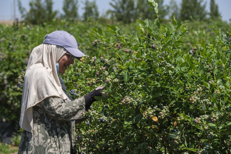 Fotografía: Francisco Bonilla.