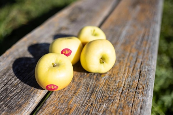 VIP prevé un mayor crecimiento de sus manzanas club