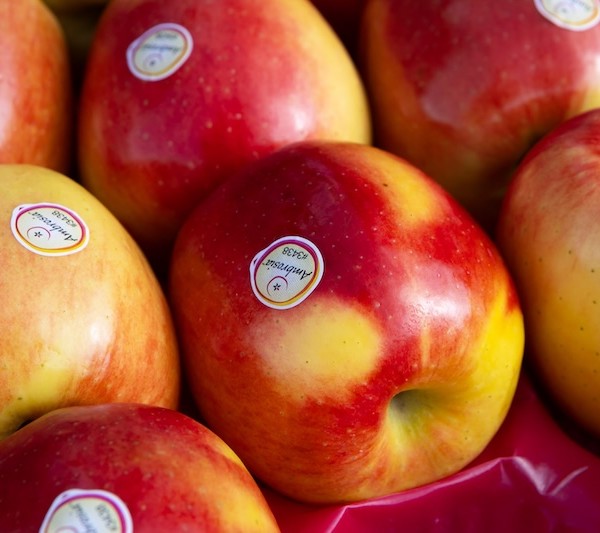 Ambrosia™ refuerza su posicionamiento en el mercado español