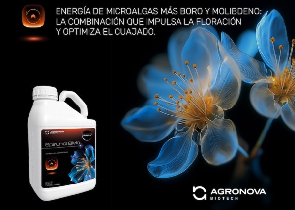 Spirunol BMo, el bioestimulante foliar que impulsa la floración y el cuajado