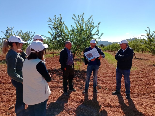 Las aromáticas se instalan en los secanos de Almería y Granada