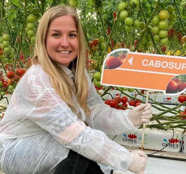 El segmento del cherry rama seguirá creciendo, según BASF | Nunhems