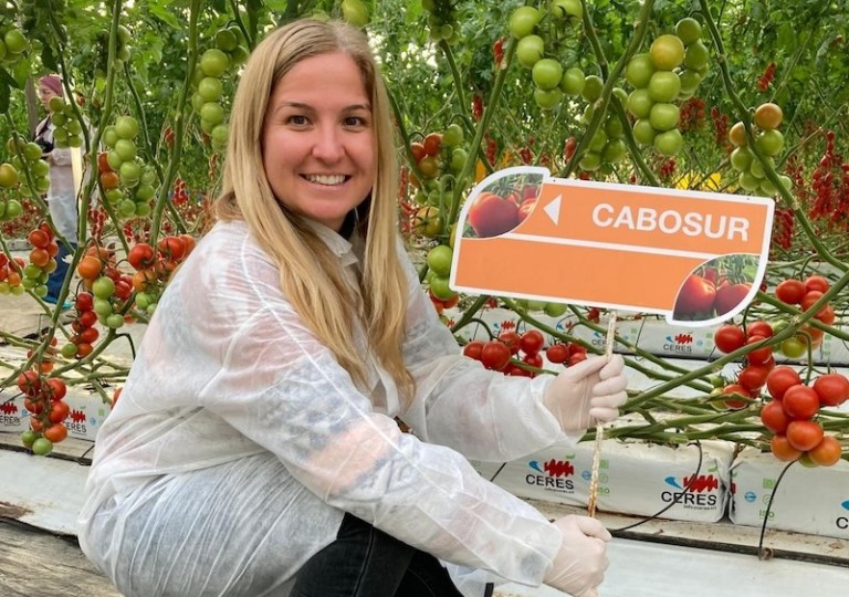 El segmento del cherry rama seguirá creciendo, según BASF | Nunhems