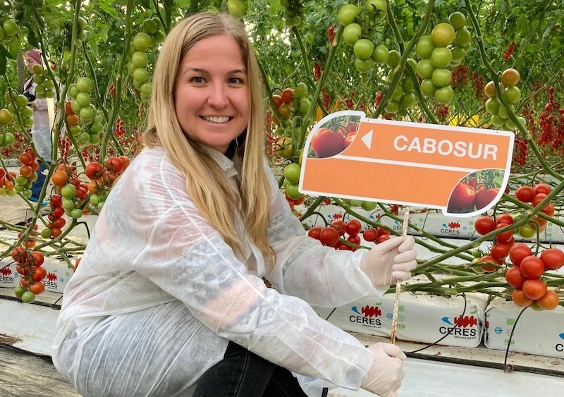 El segmento del cherry rama seguirá creciendo, según BASF | Nunhems