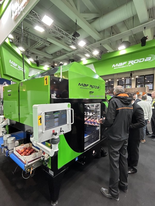 Robots permiten una confección más eficiente y estable en fruta de hueso