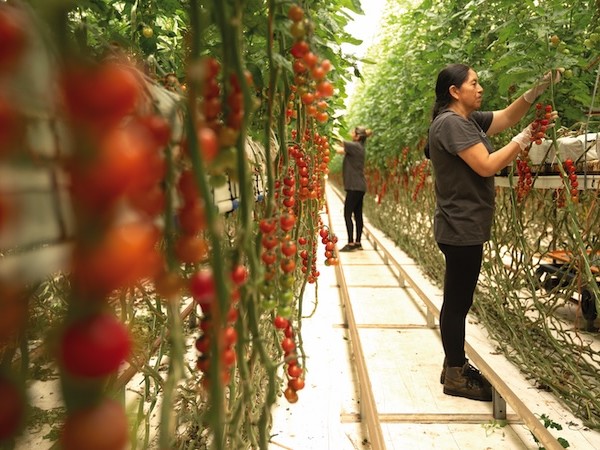 El modelo de valor de Cualin Quality